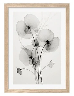 Australian Made Transparent Botanic No1 Art Print Natural Frame