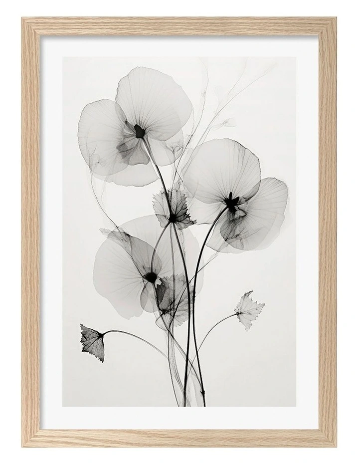 Australian Made Transparent Botanic No1 Art Print Natural Frame image 1