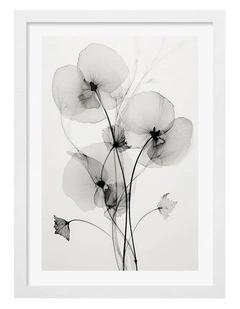Australian Made Transparent Botanic No1 Art Print White Frame