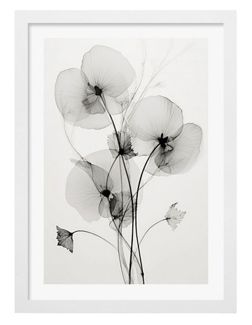 White colour