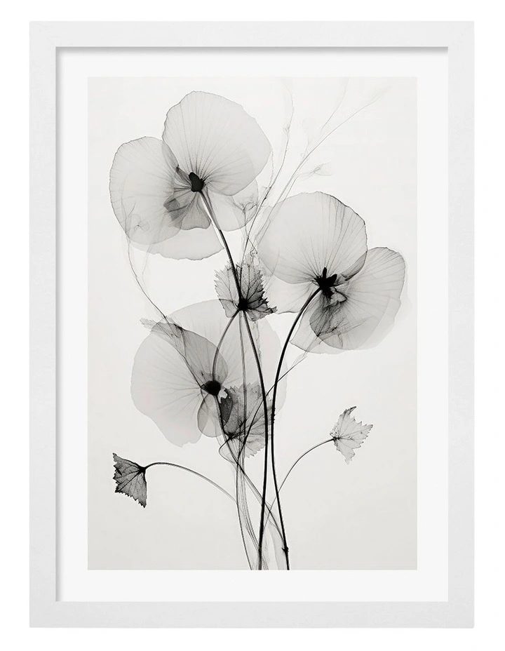 Australian Made Transparent Botanic No1 Art Print White Frame image 1