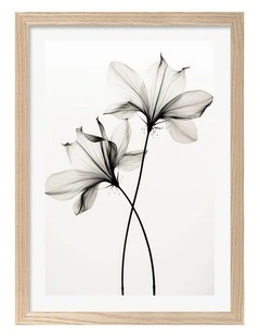 Australian Made Whispers of Petals Art Print Natural Frame