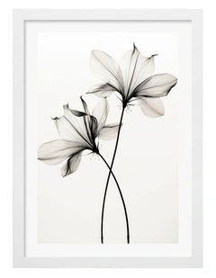 Australian Made Whispers of Petals Art Print White Frame