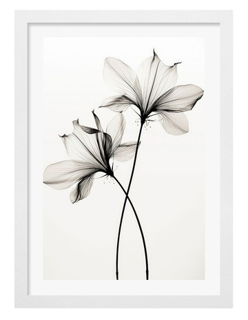 White colour