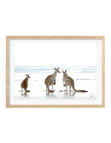 Australian Made Kangaroo Beach Art Print A2 in Natural Frame