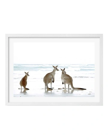 Australian Made Kangaroo Beach Art Print A3 in White Frame