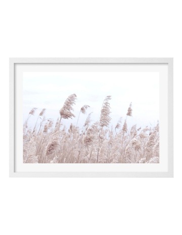 White colour