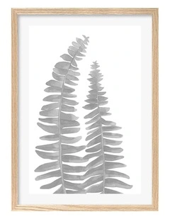 Australian Made Watercolour Fern Leaves Black Art Print A2 in Natural Frame