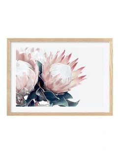Australian Made Protea Flowers Art Print A2 in Natural Frame
