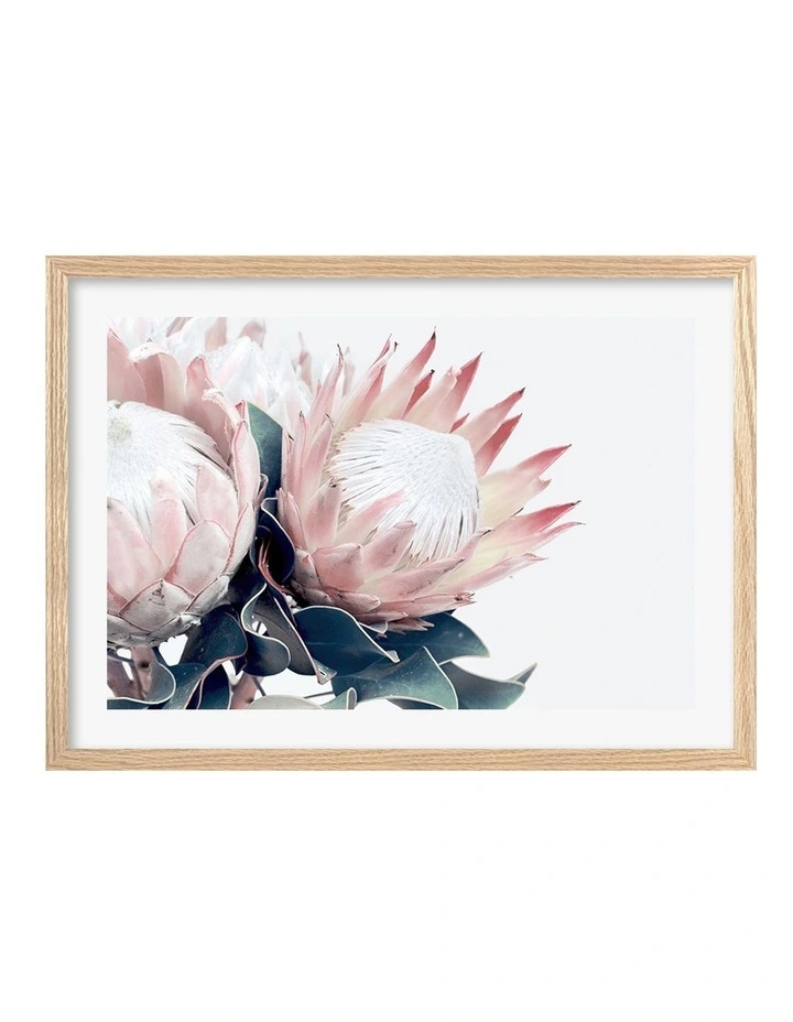 Australian Made Protea Flowers Art Print A2 in Natural Frame image 1