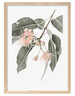 Australian Made Eucalyptus Wildflowers Art Print A2 in Natural Frame