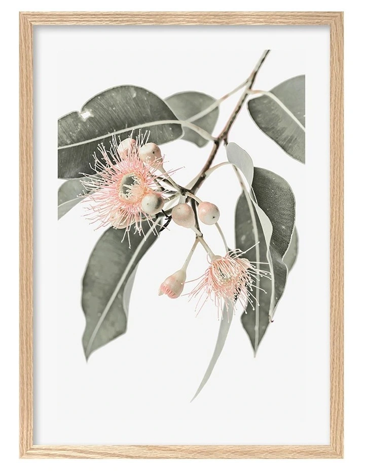 Australian Made Eucalyptus Wildflowers Art Print A2 in Natural Frame image 1