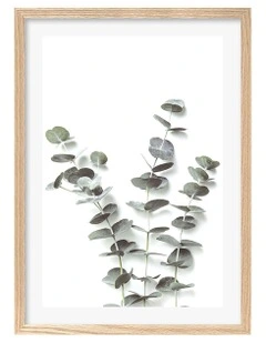 Australian Made Eucalyptus Foliage Art Print A2 in Natural Frame