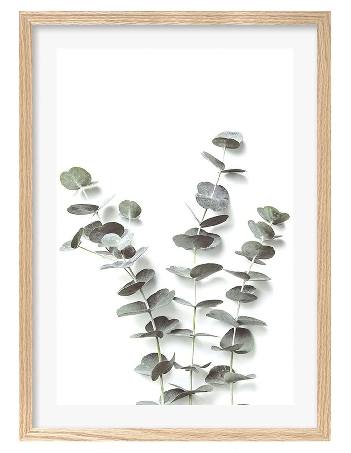 Australian Made Eucalyptus Foliage Art Print A2 in Natural Frame image 1