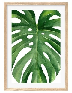 Australian Made Monstera Leaf Art Print A2 in Natural Frame