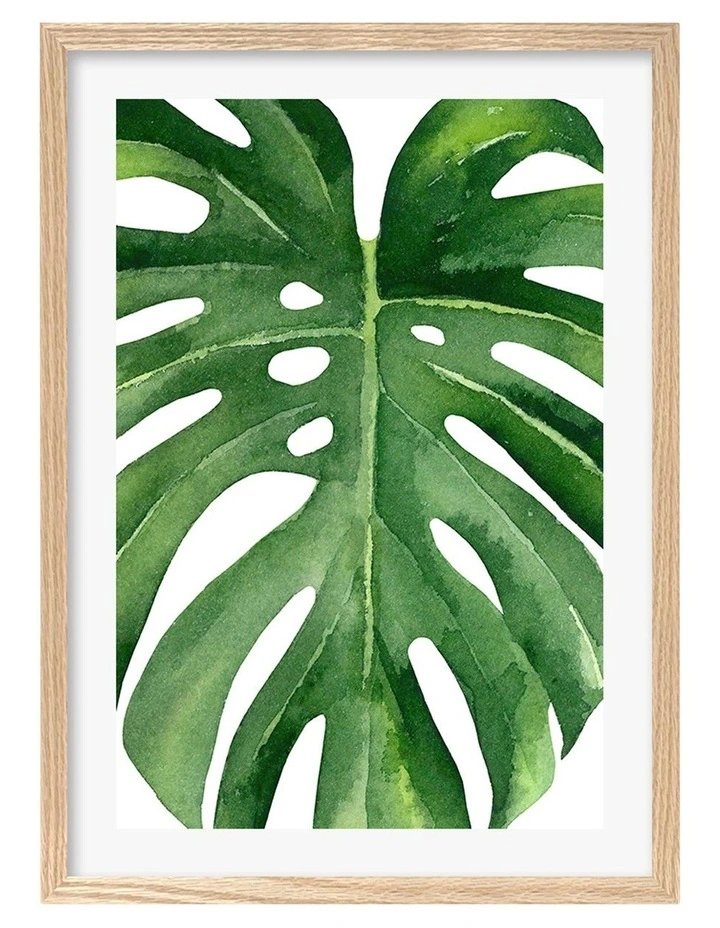 Australian Made Monstera Leaf Art Print A2 in Natural Frame image 1