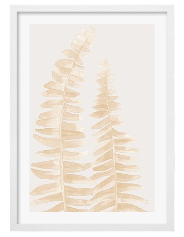 White colour
