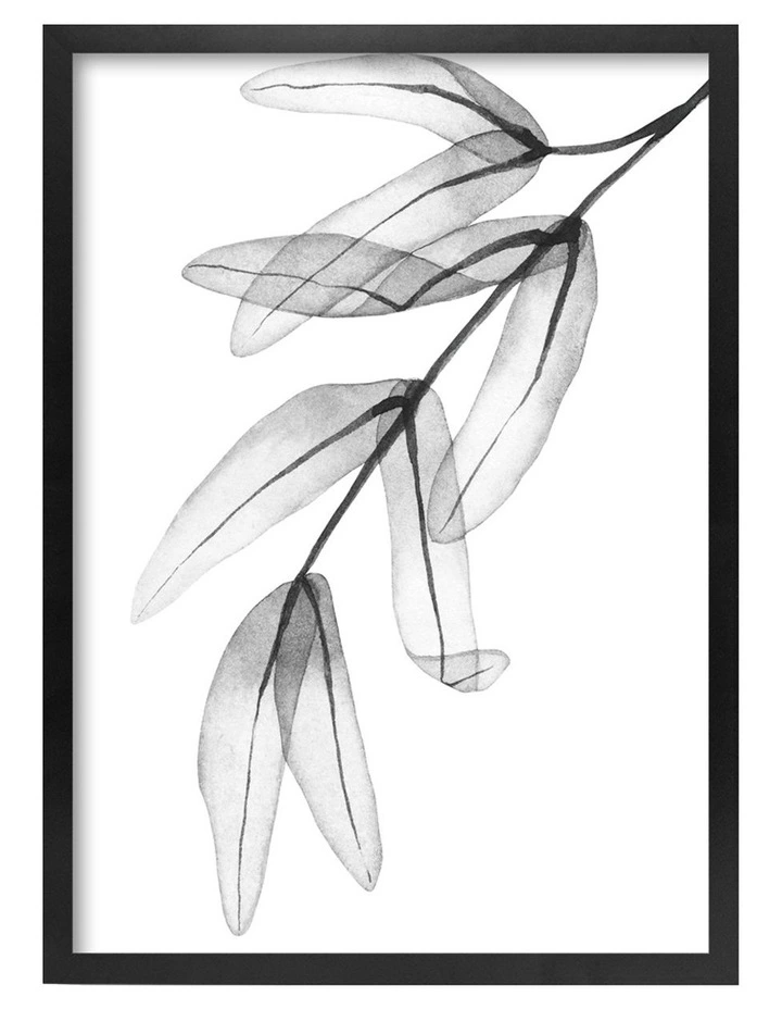 Australian Made Eucalyptus Foliage Art Print A3 in Black Frame No Border image 1