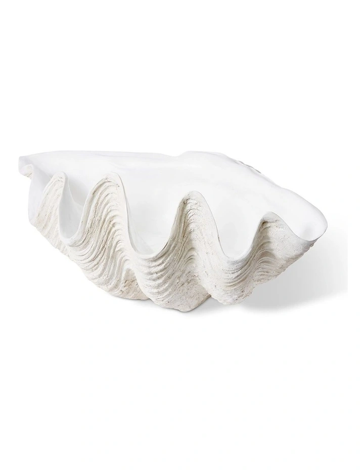 Large Clam Shell Sculpture in Off White image 1