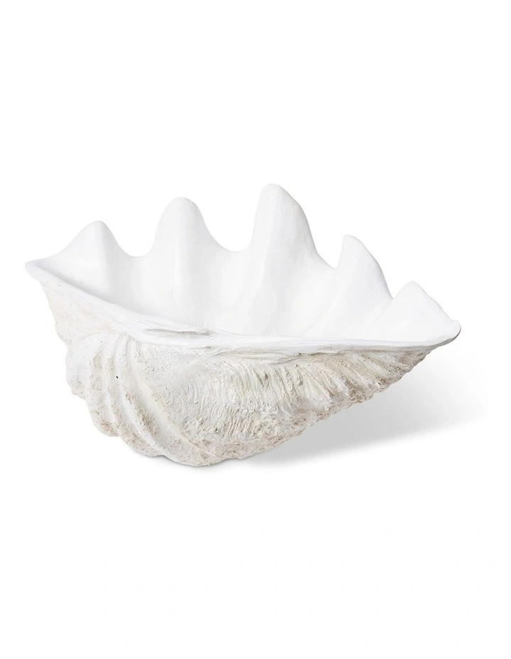 Large Clam Shell Sculpture in Off White image 2