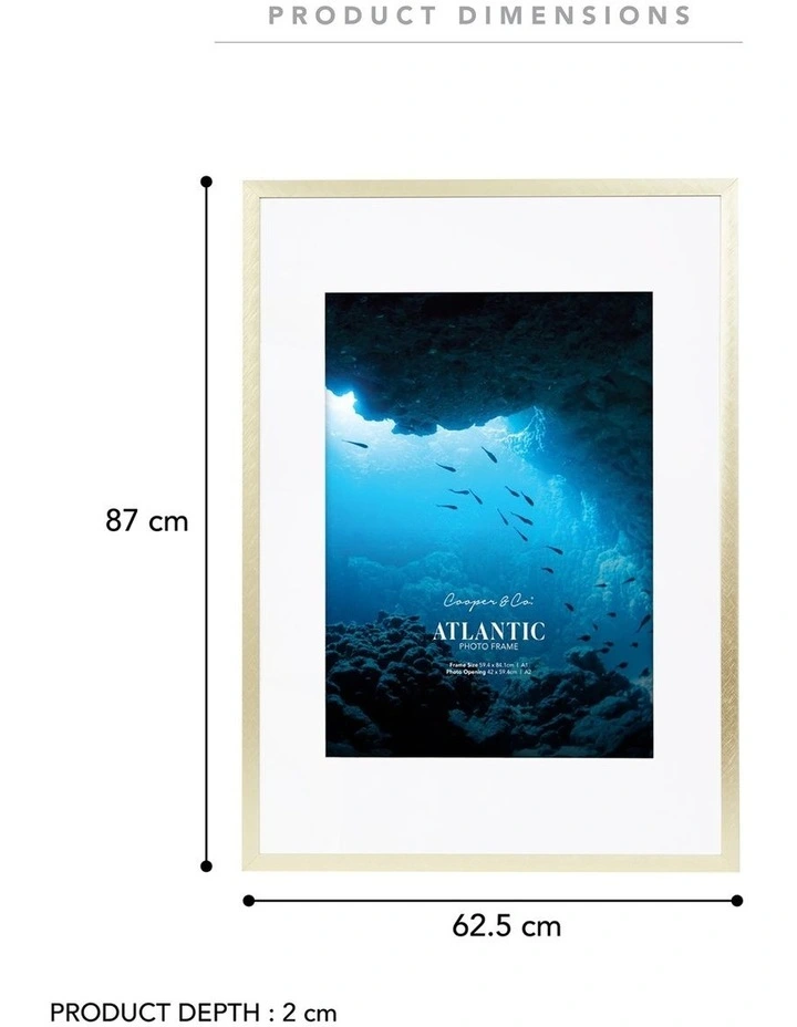 A1 Mat to A2 Atlantic Metal Photo Frame in Champagne Gold image 3