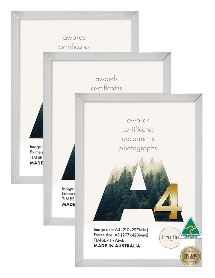 Certificate Frame A4 3 Pack in Silver image 1