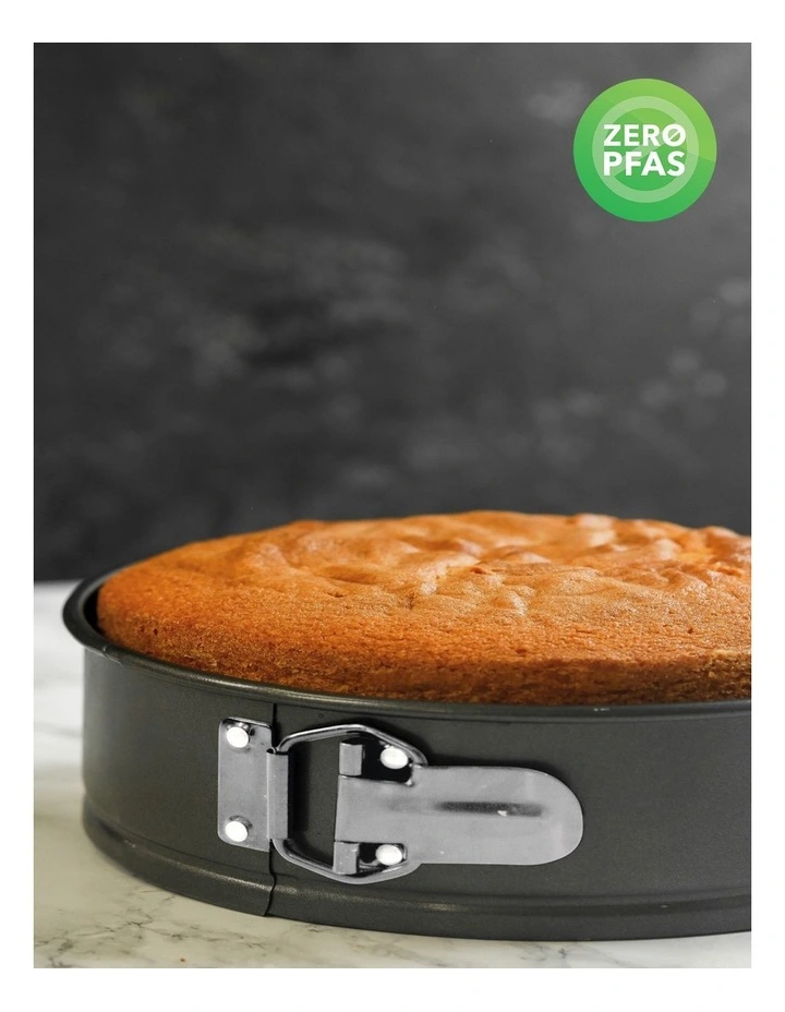 Heavy Base Springform Round Cake Pan 20cm in Carbon image 3