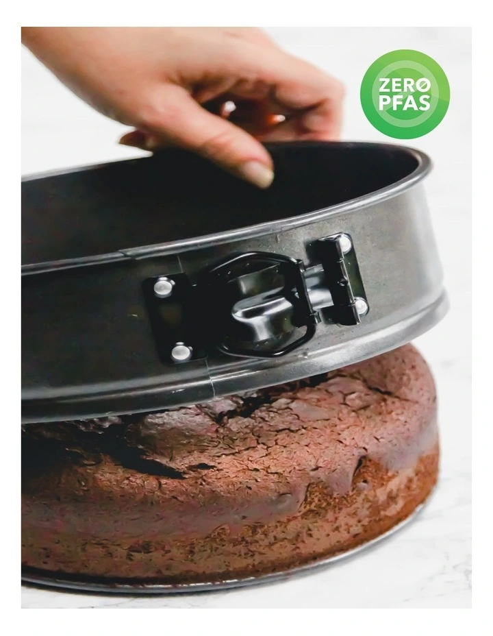 Heavy Base Springform Round Cake Pan 20cm in Carbon image 5