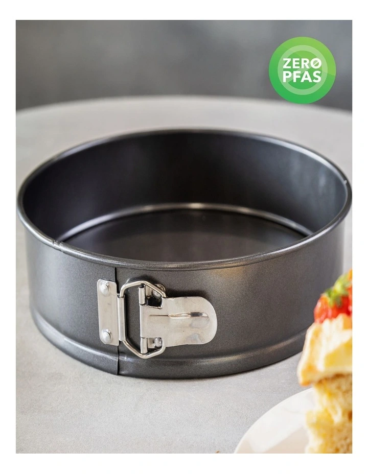 Heavy Base Springform Round Cake Pan 25cm in Carbon image 3