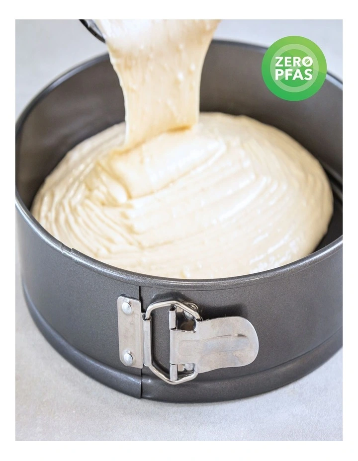 Heavy Base Springform Round Cake Pan 25cm in Carbon image 4
