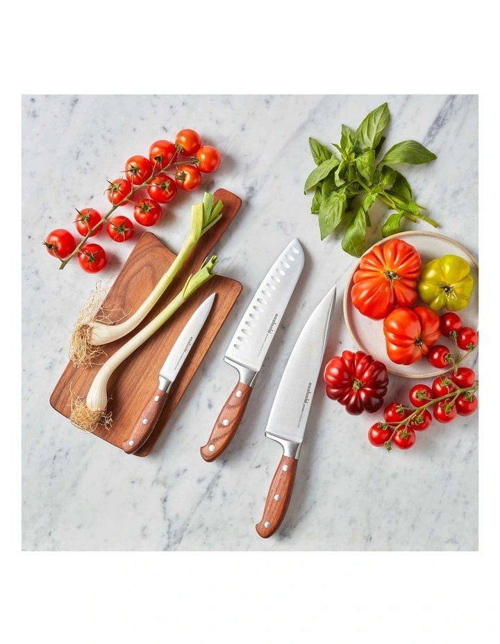 Essteele 3 Piece Knife Block In Silver MYER