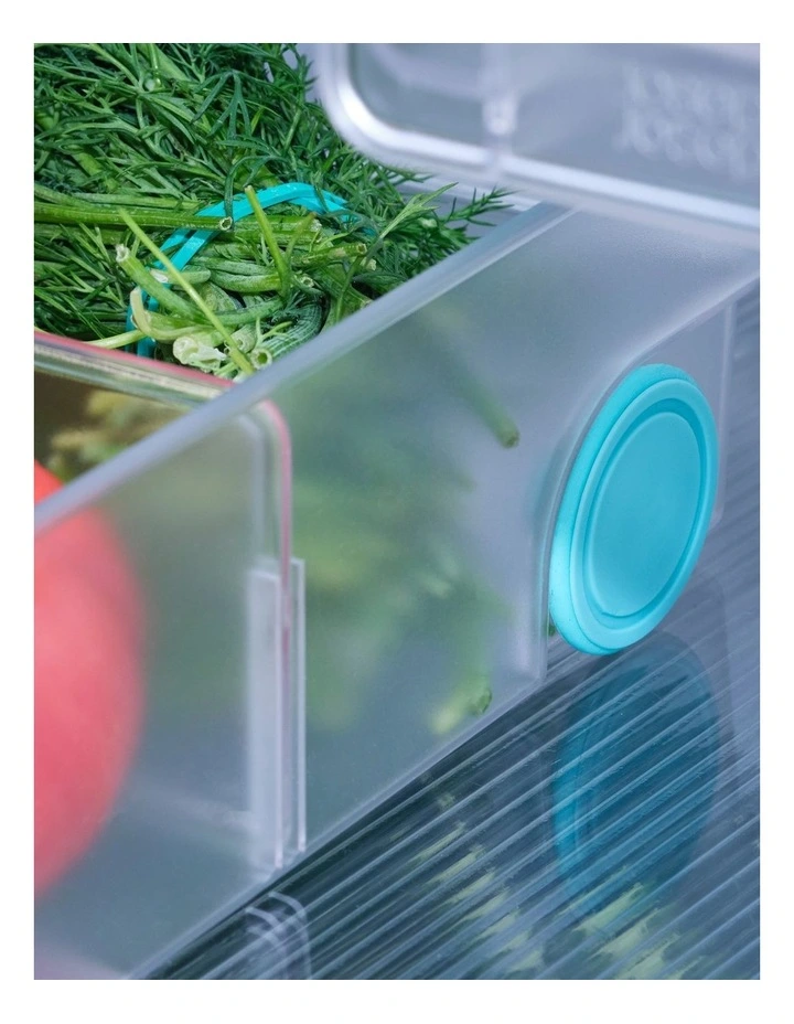 FridgeStore Extra Large Storage Caddy in Glass image 5