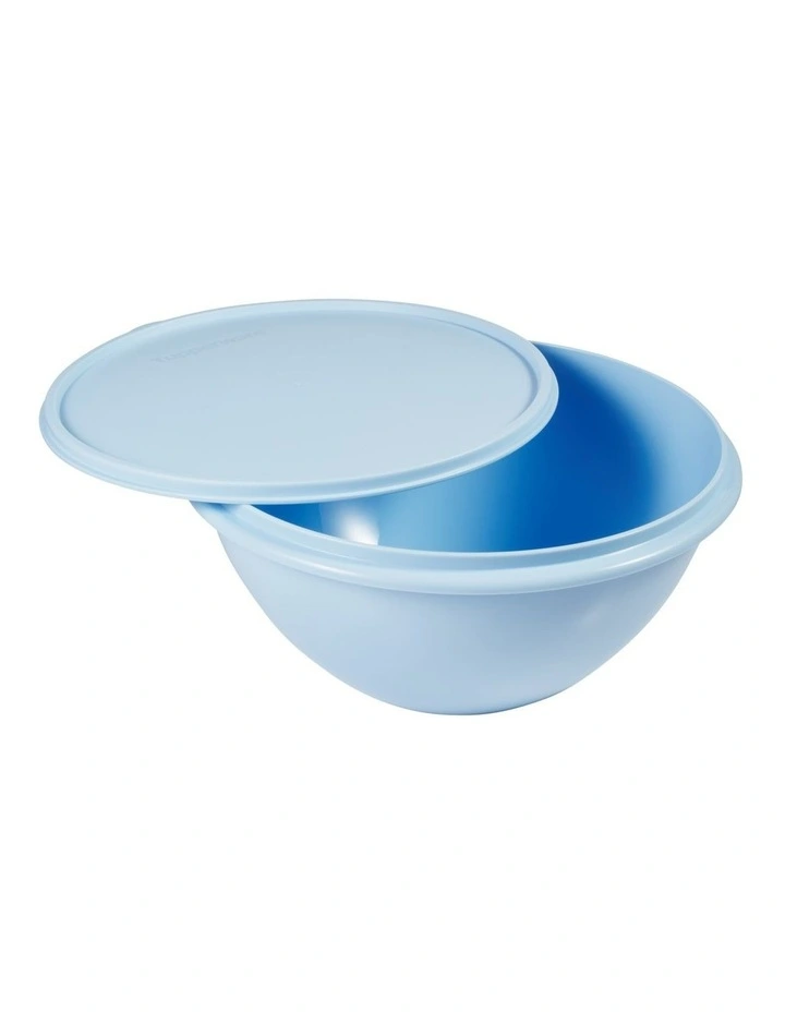 OriginalBowlSO31.1L/1.7L/2.5L image 3