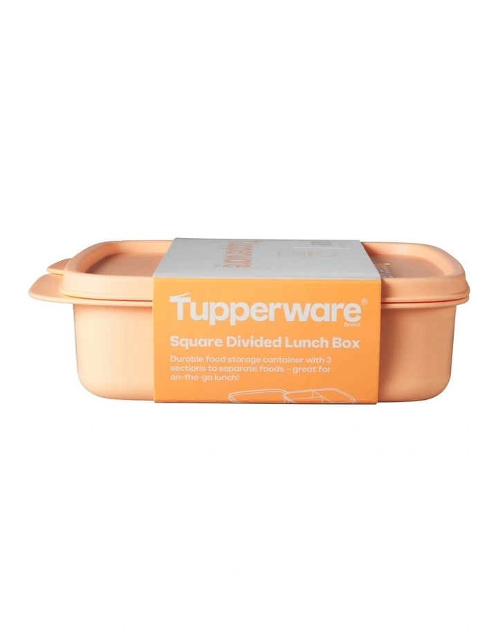 Divided Square Lunch Box 550ML Orange image 4