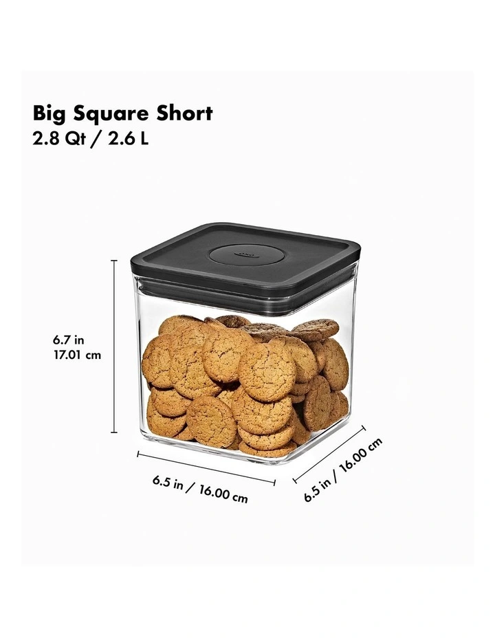 POP 2.0 Big Square Short image 7