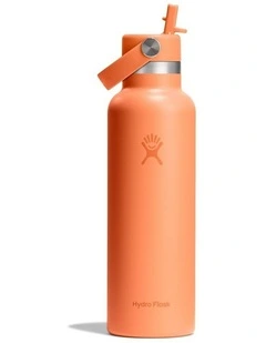 21 Oz Standard Flex Straw Cap