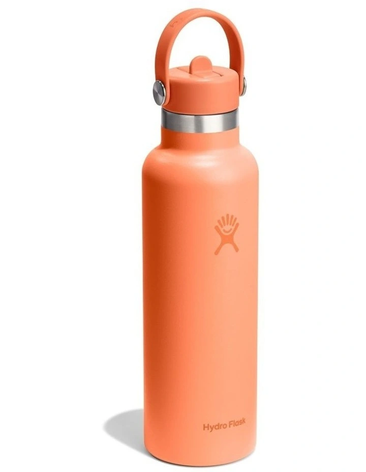 21 Oz Standard Flex Straw Cap image 2