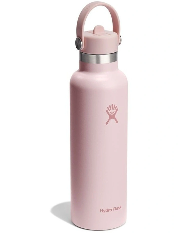 21 Oz Standard Flex Straw Cap image 2