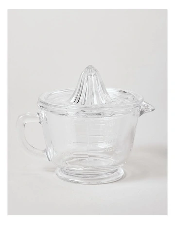 Glass Juicer in Clear