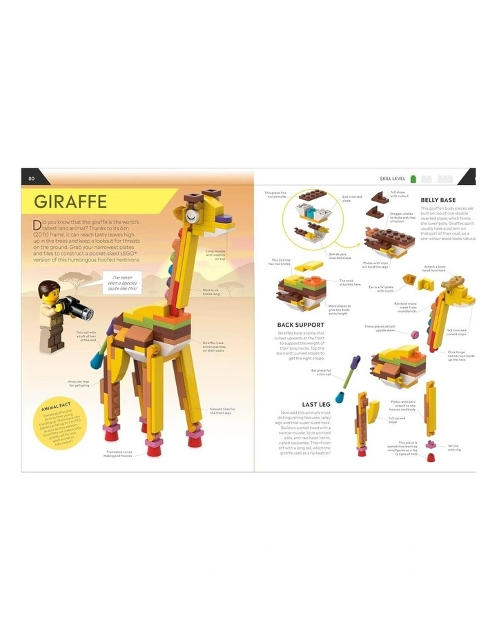 Lego How To Build Everything Book image 5
