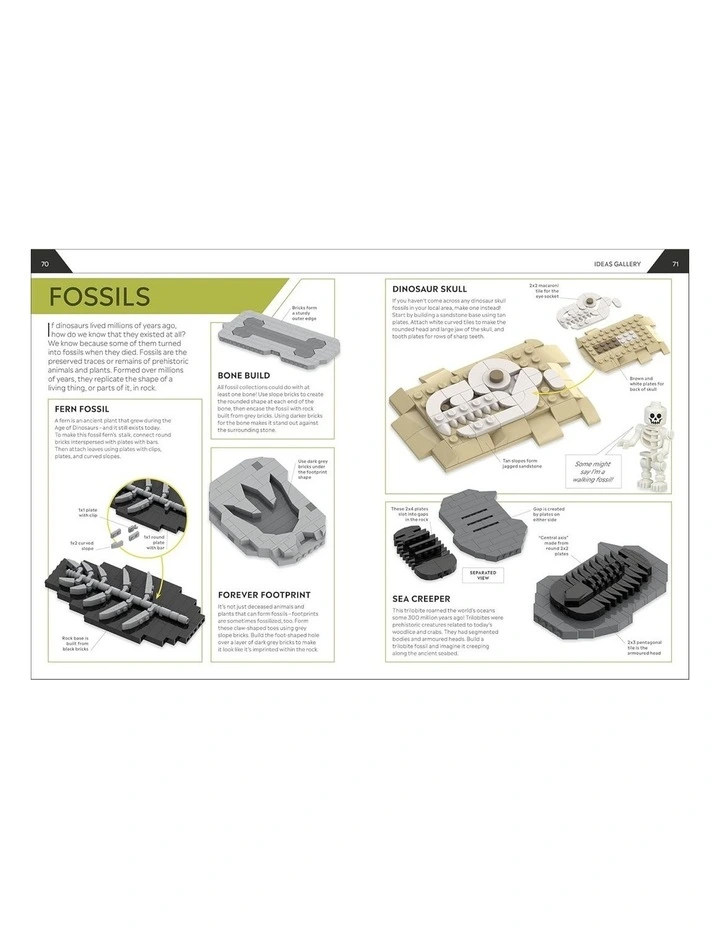 How to Build Dinosaurs image 5