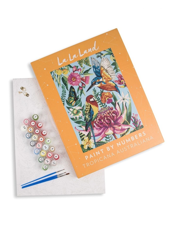 Tropicana Australiana Paint by Numbers Assorted