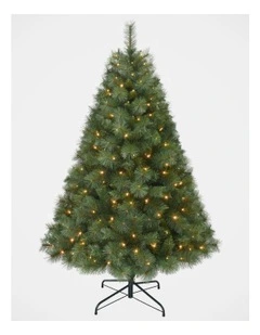 Deluxe Reno 180cm 230L Pre-lit Pine Tree 631 Tips in Green