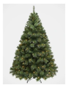 Deluxe Reno 210cm 310L Pre-lit Pine Tree 951 Tips in Green