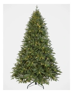 Fraser Fir 240cm 470L Pre-lit Christmas Tree 2847 Tips in Green