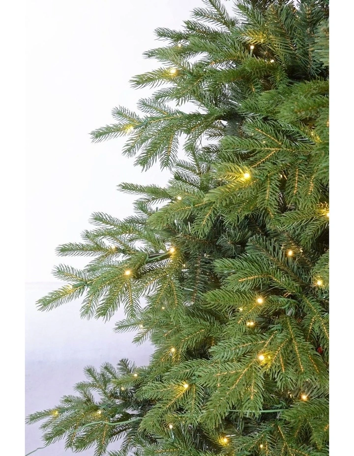 European Spruce Fir 210cm 330L Prelit Christmas Tree 2129 Tips in Green image 4