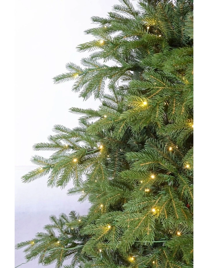 European Spruce Fir 210cm 330L Prelit Christmas Tree 2129 Tips in Green image 5