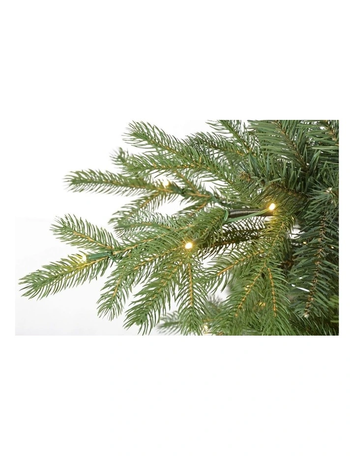 European Spruce Fir 210cm 330L Prelit Christmas Tree 2129 Tips in Green image 6
