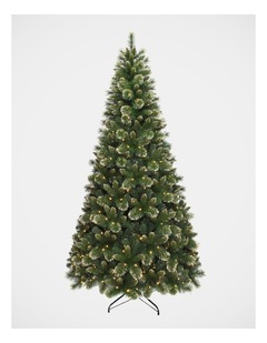 Scotch Gold Glitter Christmas 240cm 400L Prelit Pine Tree: 1111 tips