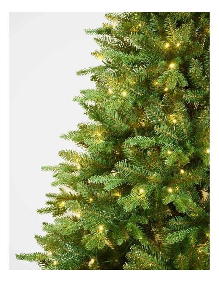 Fraser Fir 210cm 380L Pre-lit Christmas Tree 2389 tips in Green image 3
